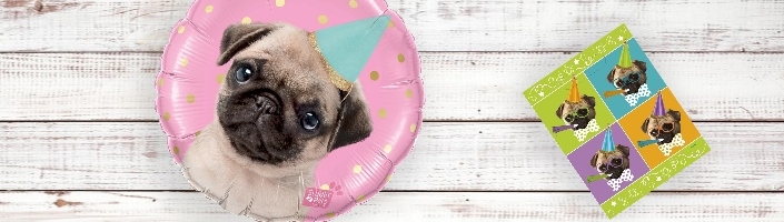Puppy Party Supplies & Pug Balloons | Party Save Smile